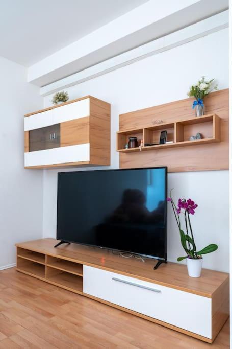 2 Bedroom Near Belvedere